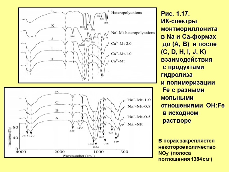 Рис. 1.17.  ИК-спектры  монтмориллонита в Na и Са-формах   до (A,